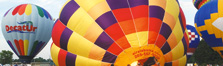 Annual Events & Festivals